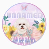 潮汐锁定