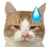啵力海苔