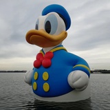 浪姐吃瓜群众