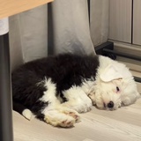 你睡眠不足哦