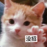 我真没招了