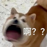 逗逗鸭