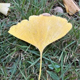 🌌🧬🧠🌈📚🏃🪴