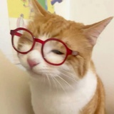 匿名小兔