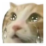 瘦哥李小鹿