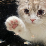 晚睡早起身体好