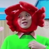 caecaelan
