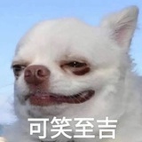 Wlpytslb