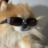 嘿