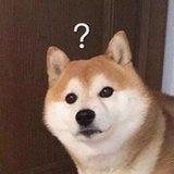 YDD