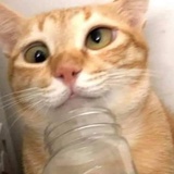 随便看看