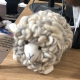 洛梓