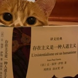 好运小花狗