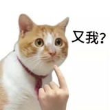 别管了你