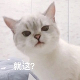 南方