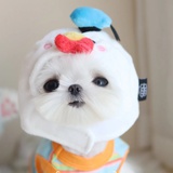 奇奇蒂蒂