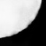 cicia
