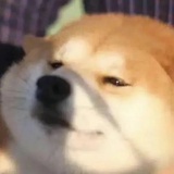 没啥名字起