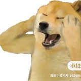 刘Fafa