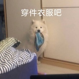 薇