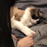 灰太阳