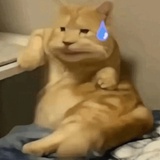 (≖_≖ )