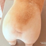明辉