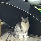 阴晴不定