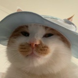 ⠀