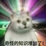 鱼🐟