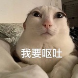 俩猫