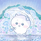 云销雨霁
