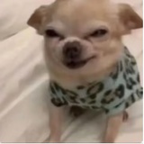 重庆鸡公煲(w辣