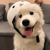 HeyHeyKiKi