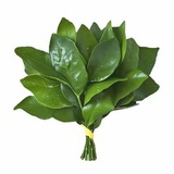 每天都有饭饭吃