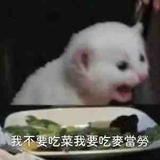 笨蛋是你