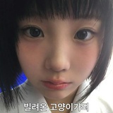 猪猪勋泡菜王