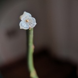 消停消停吧