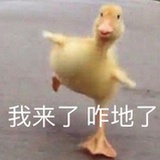 明天还要吃火锅