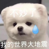 不干了不干了