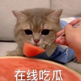 在线吃瓜