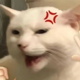 随便呐