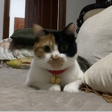 于子。