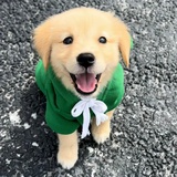 小张