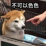 P0000000