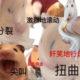 我一醉不醒！！