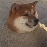 普通三得力