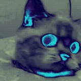 Hideto