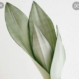 草草