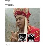 豆友234420812